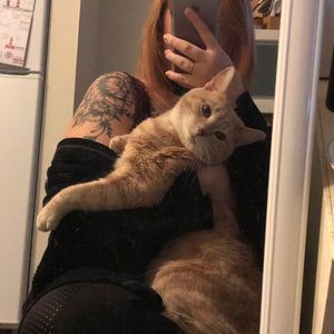 Meet your Posher, Kaylee